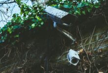 ai network surveillance monitoring