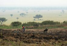 business growth performance metrics