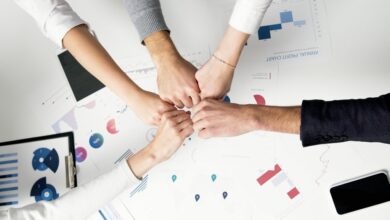 innovation pipeline analysis summary