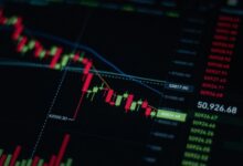 market dynamics data overview