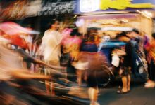 market dynamics evaluation report