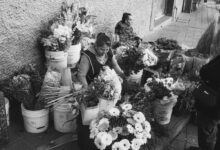 market operations summary report