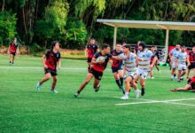 performance tracker for numbers