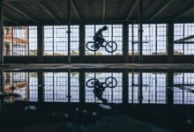 risk management and analysis