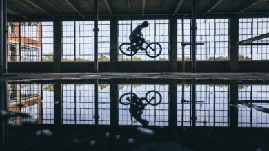 risk management and analysis