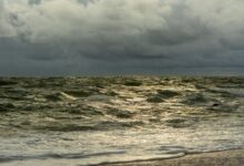 bright market growth ahead