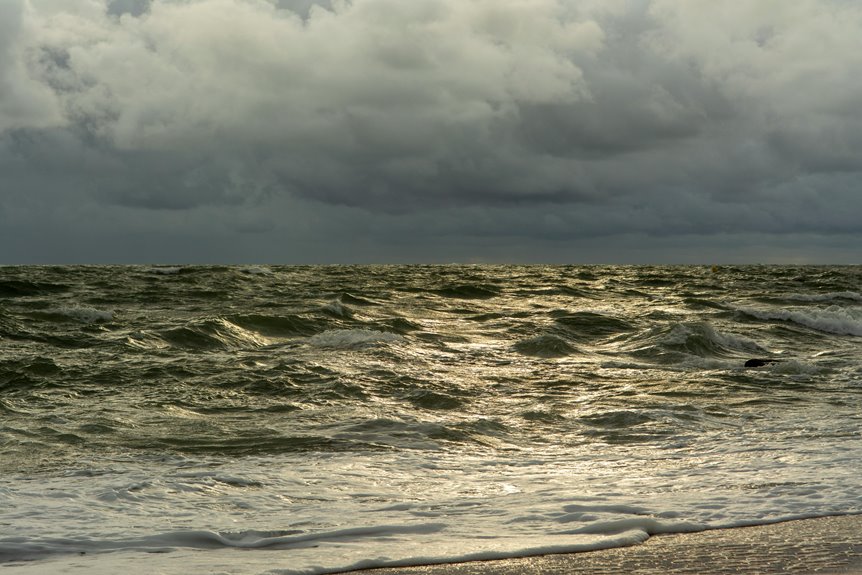 bright market growth ahead