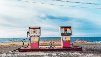 guiding progressive leadership forward