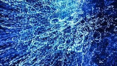 market leadership through innovation