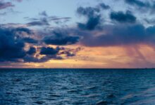 strategic fusion opportunities initiated