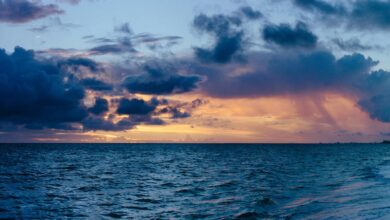 strategic fusion opportunities initiated