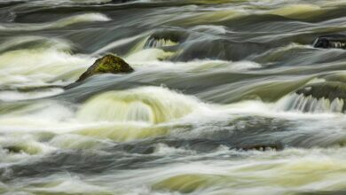 unlocking strategic momentum flow