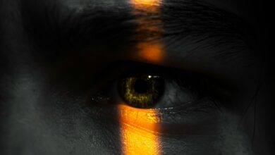 visionary impact unlocked catalyst