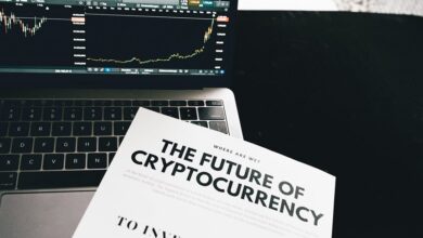 crypto personality discovery guide summary