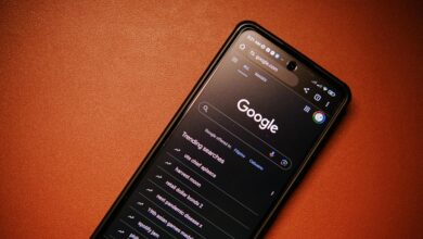 employment job trend insights hub