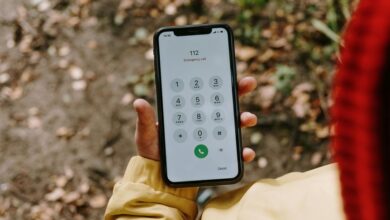 free scammer phone number lookup