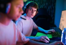 gaming community portal insights revealed