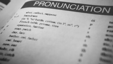 language keyword insight guide summary