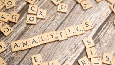 linguistic search behavior portal