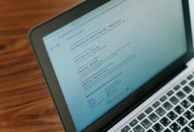 profile discovery portal revealing identity searches