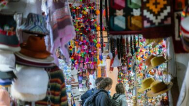 shopping history insights portal deals