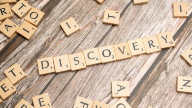 social profile discovery hub insights