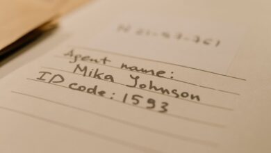 identity lookup records for specified numbers