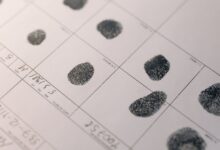 investigate specific verified records