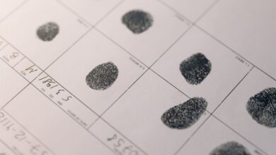 investigate specific verified records