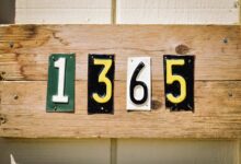 number registry profiles explored for five numbers