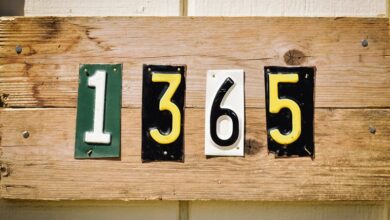 number registry profiles explored for five numbers