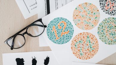 number registry search results listed