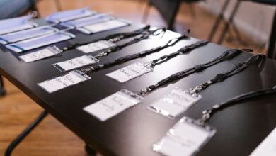 public registry ids detailed records