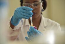 registry numbers reveal investigations ongoing