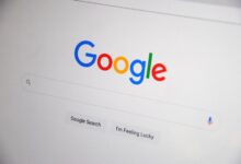 registry search results for given ids
