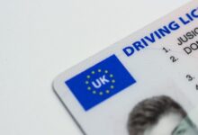 registry search results for specific ids
